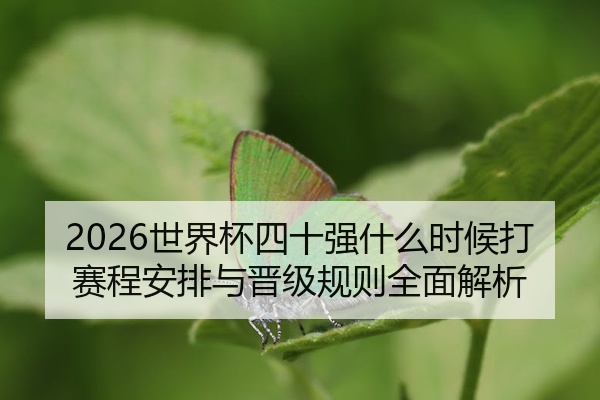 2026世界杯四十强什么时候打赛程安排与晋级规则全面解析
